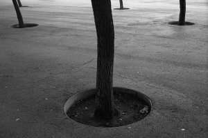 Autor Rychlicki Fotografia 4 